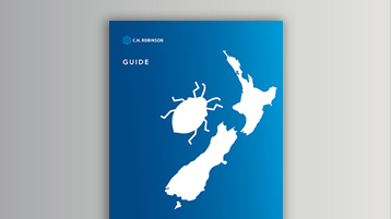 Brown marmorated stink bug graphic