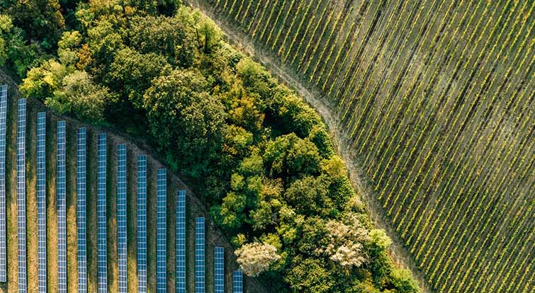 Aerial view of solar energy farm
